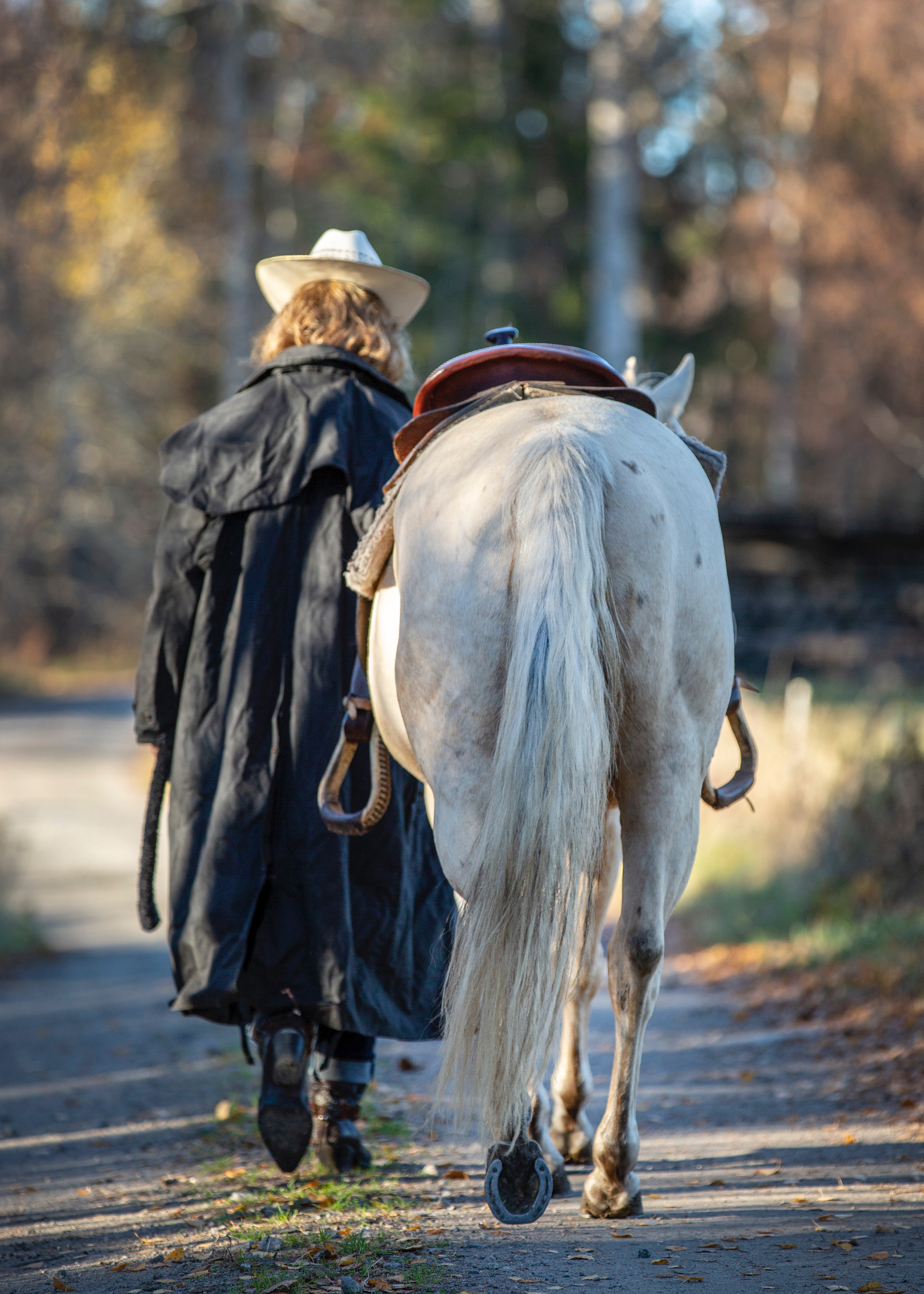 Bitten and the horse from back